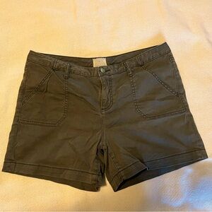 Caslon Olive Colored Casual Women’s Cotton Shorts, Size 14